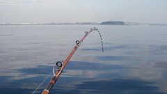 Fish fishing gear