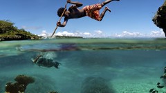 Fish fishing spears hunting