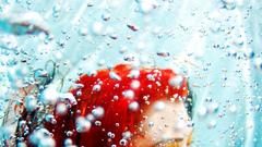 Fish high Aquarium and