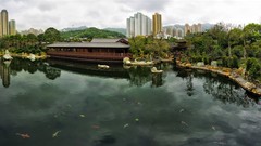Fish Hong Kong cityscapes ponds