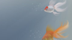 Fish pearl and More high Dean riverfae