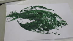 Fish printing high Aquarium