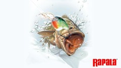 Fish rapala