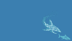 Fish Sharks Aquarium and