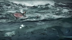 Fish Sharks digital art