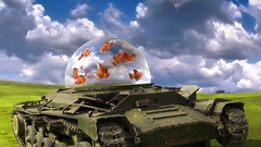 Fish there tank You little high Buddy