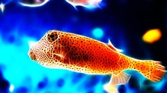 Fish underwater that lives. anything