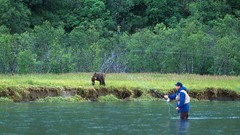 Fishing Bears