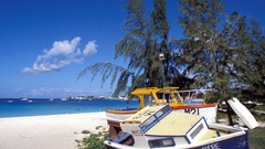 Fishing Boats Barbados