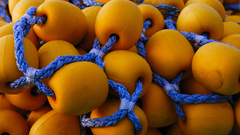 Fishing bouys Sport widescreen