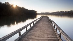 Fishing fort piers Tennessee