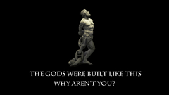 Fitwall looking for fitness