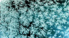 Fixed frost Frozen window