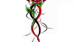 Fixes lulz looking to