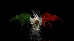 flag eagle digital art black background Green white red Animals