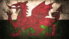 Flag ill just Made This welsh