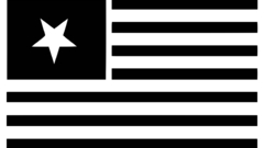 Flag vectorized not Op