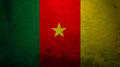 Flags cameroon