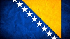 Flags grunge National bosnia and herzegovina Bosnia