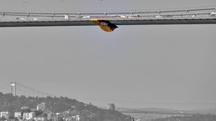 Flags Istanbul soccer bosphorus galatasaray football teams