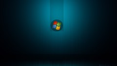 Flags microsoft windows