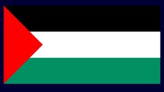 Flags palestine nations