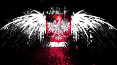 Flags Polish Poland emblem