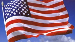 Flags USA