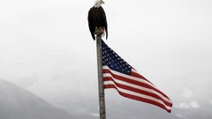 Flags USA Eagles