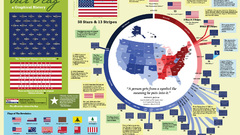 Flags USA infographics