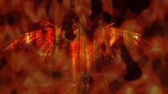 Flames Birds fire phoenix