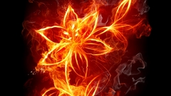 Flames Flowers fire smoke
