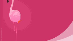 Flamingo is for pink