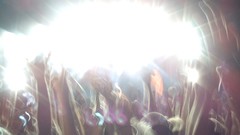 Flashlight concert iron maiden event