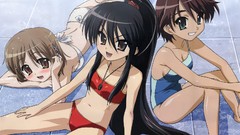 Flat Anime chest shakugan no shana bikini Megami