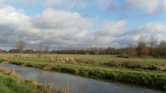 Flat nature Trees grass water country clouds autumn Belgium 