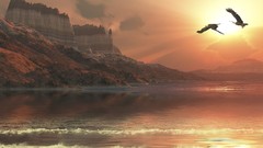 Flight nature two Eagles