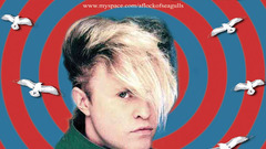 Flock of seagulls