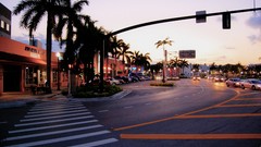 Florida Hollywood urban Palmtree