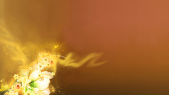 Flove orange shapes abstract