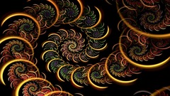 Flower abstract vectors