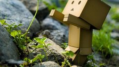 Flower Anime Manga yotsubato danbooru