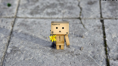 Flower box for man You high Resolution