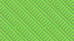 Flower field haha No