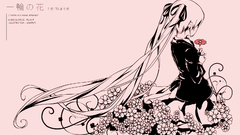 Flower Flowers are nice