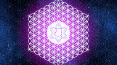 Flower Life abstract