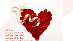 Flower petals love Hearts