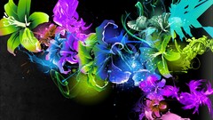 Flowers abstract black background colors vectors