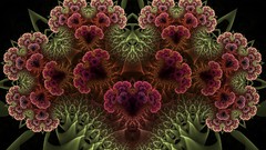 Flowers abstract black background Herbs