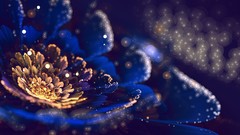 Flowers abstract crystal flowers